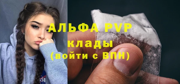 сатива Абинск