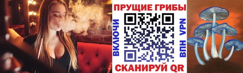 Галлюциногенные грибы Magic Shrooms МЕГА ТОР Цивильск как найти наркотики